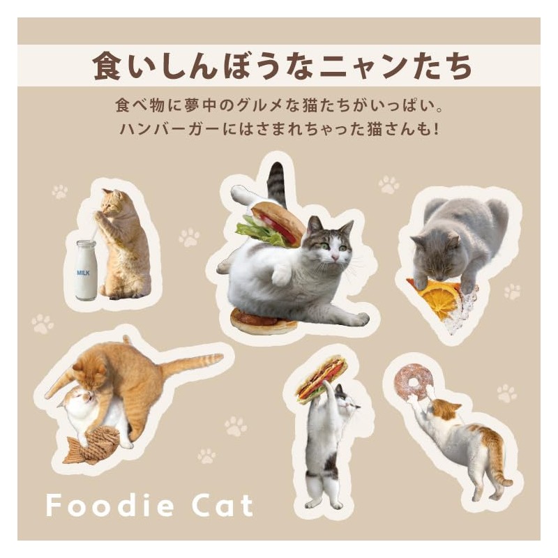 [2024] Wpc. [Vinyl Umbrella] Masayuki Oki x Wpc. Paw Plastic