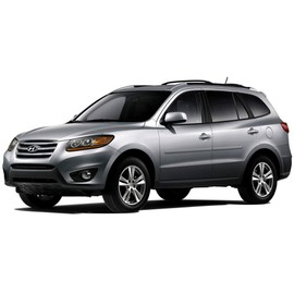 Dawn Enterprises FE-Santa Finished End Body Side Molding Compatible with Hyundai Santa Fe - Platinum SAGE Metallic (TD)