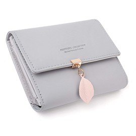 PrettyNuo Geldbeutel Damen aus glattem und weichem Kunstleder Portemonnaie Damen klein und im Kurzformat Geldbörse Damen in sehr schönen Farben mit vielen Fächern Grau