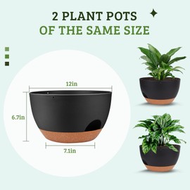 Vanslogreen Plant Pots 12inch Self Watering Pots, Set of 2 Plastic Planters with Drainage Holes and Saucers, Flower Pots for Indoor Outdoor Plants (Black)