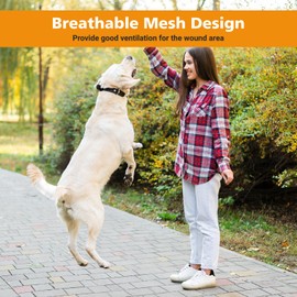 UNIFAMILY 10pcs Dog Tail Protector, Dog Breathable Tubular Bandage Elastic Net Wound Dressing Tail Elbow Plus 2 Gauze Pads and Self-Adhesive Dog Bandage Vet Wrap for Dogs Cats Other Pets Animals