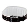 Gladiator Sports Sports Weight Lifting Belt / Fitness Belt