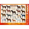 EuroGraphics Horses 1000 Piece Puzzle