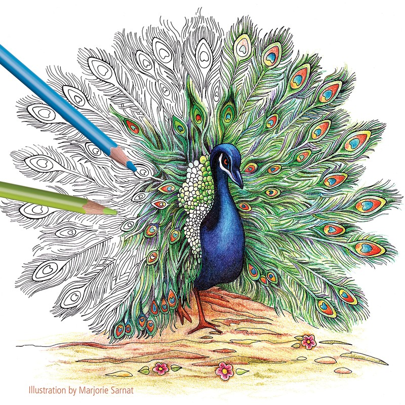 STAEDTLER Colored Pencils Set (72-Pack) - Ergonomic Triangular Barrel, Smooth