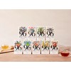 96° Indian Chai - 20 Pyramid Tea Bags, Individually Wrapped,
