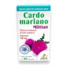 Cardo Mariano Puro Miltlan 60 Cápsulas 120mg 100% Natural Sabor