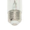 Westinghouse Lighting 5338020 10 Watt (100 Watt Equivalent) T9 Dimmable