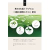 Fathers Day Quattro Botanico (Men's Gift, All-in-One Lotion, Face Wash,