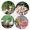 Gadpiparty 6pcs Mini Wood Mushroom DIY Craft Unfinished Smooth Figurines