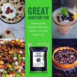 Dried Blueberries 1 lb (16 oz) – Gluten-Free & Peanut-Free, Slightly Sweetened – Great for Baking & Snacking – Berries with Benefits