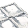 Lakeland Reusable Mini Gel Filled Ice Packs - Set of
