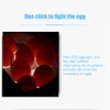 9 Eggs Incubator with Temperature Display, Egg Candler Light and