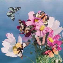 Cartanfill- Artificial Feather 3D Butterfly Party Decorations Set of 12 with Clip 6 Color Ornaments for Home Decoration.