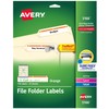 Avery 5166 Permanent Filing Labels, 1/3 Cut, 750/PK, Orange