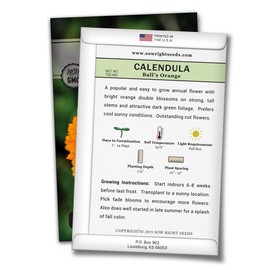 Sow Right Seeds - Ball’s Orange Calendula Seeds for Planting, Beautiful to Plant in Your Flower Garden; Non-GMO Heirloom Seed; Wonderful Gardening Gift (1 Packet)
