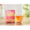 Taylors of Harrogate Sweet Rhubarb, Herbal Tea, Individually Wrapped Bags,