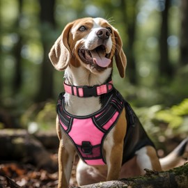 Joytale Reflective Dog Collar,Soft Neoprene Padded Breathable Nylon Pet Collar Adjustable for Large Dogs,Pink,L