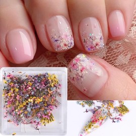 3D Dried Flower for Nails, Flower Nail Art Stickers 1Box Mixed Dried Flowers for Nail Art Resin DIY Crafts Natural Real Dry Flower Decals for Spring Summer Manicure Nail Art Decorations (Style3)