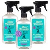 Aunt Fannie's All Purpose Household Cleaner, Multi-surface Spray, Powered by