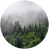 Muralo Sticker Circle Trees in Fog Forest Plants Nature Green