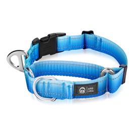 ARBLINA Martingale Dog Collar Light-Reflective Polyester Collars for Dogs Whippets, Greyhounds, Saluki, American Bully, No-Pull No-Escape Safety Training Heavy Duty Adjustable Collars -S Blue