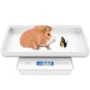 MINDPET-MED 11lbs/0.1g Pet Scale for Small Animal, Whelping Scale, Guinea