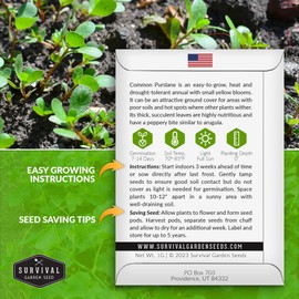 Common Purslane Seed for Planting - 3 Packets with Instructions to Plant and Grow Green Portulaca Oleracea in Your Home Vegetable Garden - Non-GMO Heirloom Variety - Survival Garden Seeds