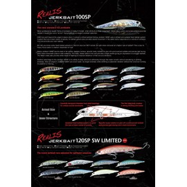 Realis Duo Realis Jerkbait 100mm/3.9": Fishing Lure for Variety of Fish with Treble Hooks, Suspending/Sinking Type Hardbody Baits : Made in Japan (BK Ayu)