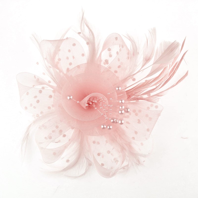 DRESHOW Fascinators Hat Flower Mesh Ribbons Feathers on a Headband