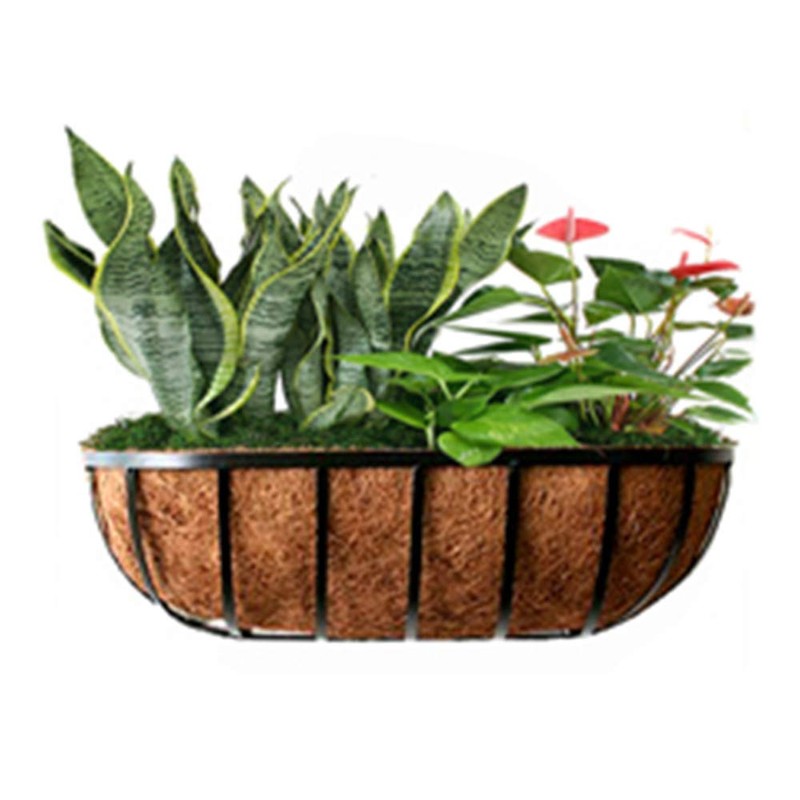 Frillybutts Trough Coconut Liners for Planters Horse Trough Coco Liners