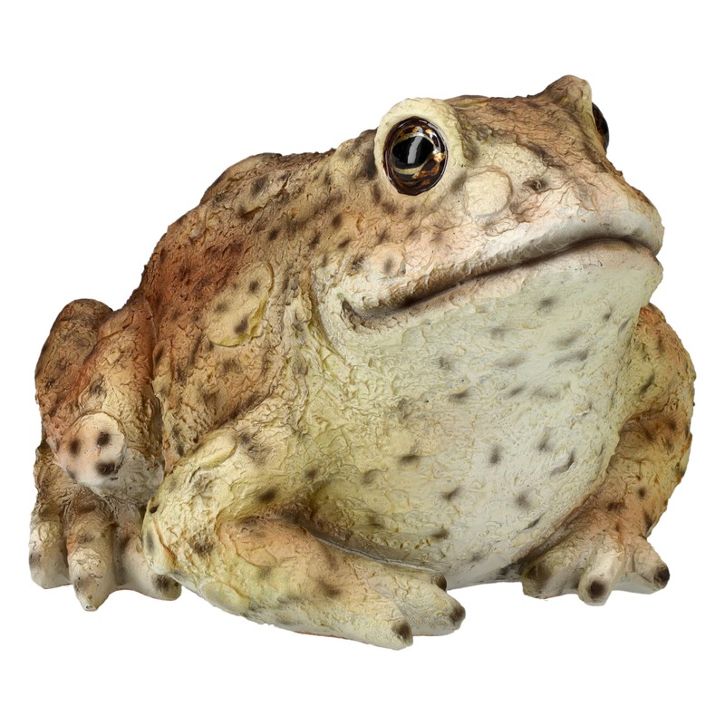 Figuren Shop GmbH HotAnt Realistic Garden Toad 12.5 cm Weatherproof