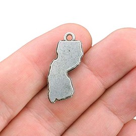 Bohemian Findings 10 State of New Jersey Charms Antique Silver Tone - SC3951