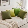 MIULEE Velvet Soft Soild Microfiber Decorative Square Pillow Case Throw