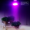 40 LED E27 Bulb Indoor Shed Plants Growing Lamp Full
