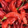 Sherwoods Seeds Aji Strawberry Drop Limon Kellu Uchu Chile Heirloom
