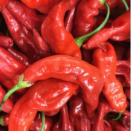 Sherwoods Seeds Aji Strawberry Drop Limon Kellu Uchu Chile Heirloom Pepper Premium Seed Packet + More