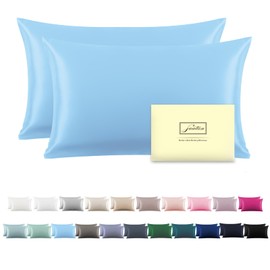 Suatien Silk Pillow Cases 2 Pack Soft Breathable and Sliky King Size Pillow Cases Set of 2,Natural Mulberry Satin Silk Pillowcase with Hidden Zipper for Hair and Skin (Sky Blue,20"X 36",2pcs)