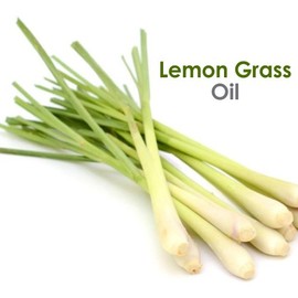 SALVIA Salvia Lemon Grass Oil (Cymbopogon citratus) 100% Natural Pure Undiluted Uncut Carrier Oil 30ml with Dropper