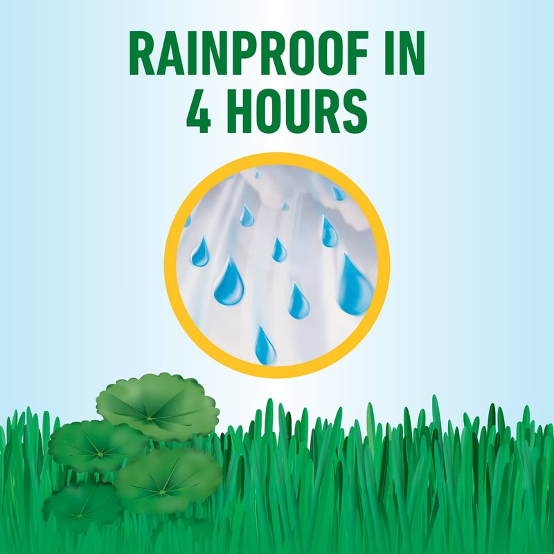 Roundup for Lawns₄ Ready-to-Use (Southern) - All-in-One Weed Killer for