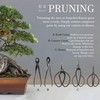 BambooMN Bonsai Tree 5pc Shear Tool Set