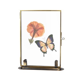 Vintage Style Brass and Glass Vertical Picture Frame for Pressed Flowers, Dried Flowers, Poster, Double Glass, Glass Frame&Iron base, Picture Frame w/ Locket Closure, for Photos, Home Décor, Art, & More (4x6, 5x6)