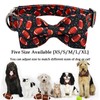 Lionheart glory Dog Collar Bowtie Collar Dog Rugby Dog Collar