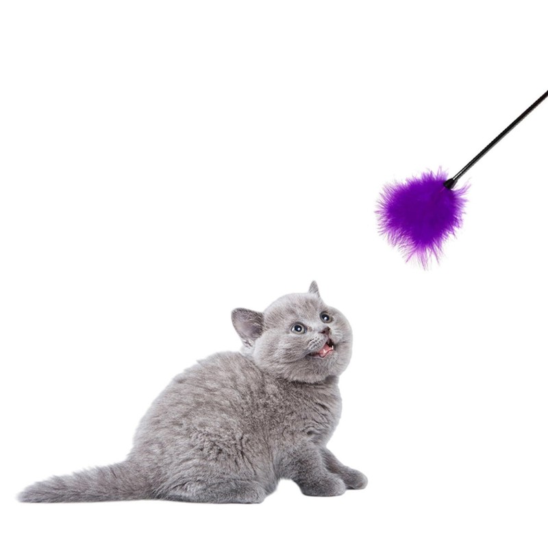 Dzrige Interactive Cat Toys Teaser Wand Black Long Sticks with