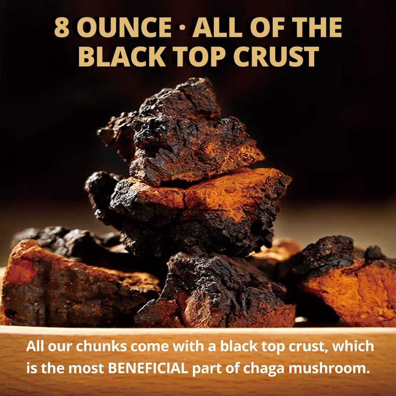 Chaga Mushroom Chunks - 8 ounce, 100% Wild Harvested with