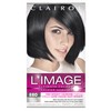 Clairol L'Image Permanent Hair Dye, 880 Soft Black Hair Color,