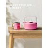 Toptier Teapot with Removable Infuser, Cast Iron Tea Kettle Stovetop