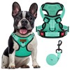FAYOGOO Dog Harness with Handle & 2 D-Rings, Adjustable Reflective