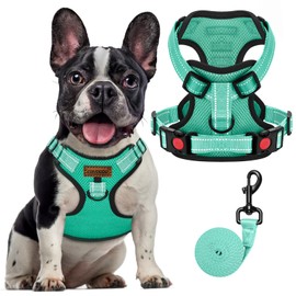 FAYOGOO Dog Harness with Handle & 2 D-Rings, Adjustable Reflective Vest for Small Medium Dogs - Breathable Mesh, Training Control & Secure Walking Green XL