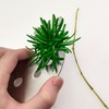 Stainless Steel Herb Stripper Tool, 10 Holes, Kitchen Leaf Remover