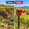 Solar Motion Sensor Alarm with Dog Barking & Gunshot Sounds